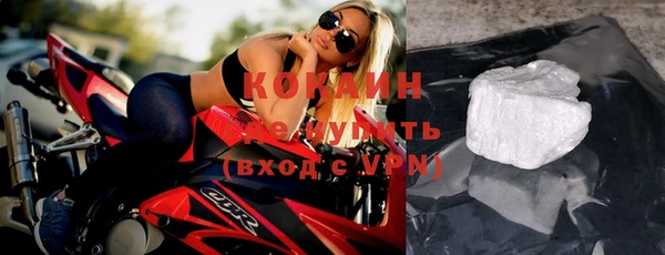 стаф Алзамай