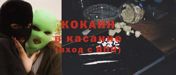 стаф Алзамай